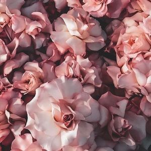 Meet your Posher, Mishanda